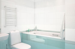 Luxury 249*500