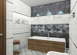 Shape 249*500