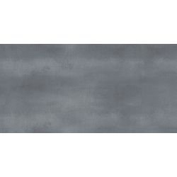 Shape Graphite WT9SHP25 Плитка настенная 249*500*8,5 (10 шт в уп/67.23 м в пал)