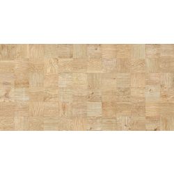 Regard Beige WT9RGD08 Плитка настенная 249*500*8,5 (10 шт в уп/67.23 м в пал)