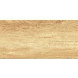 Paradise Wood WT9OAS31 Плитка настенная 250*500*9 (13 шт в уп/63,375 м в пал)