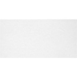 TWU09MNR020 плитка облицовочная Monocolor 249*500*7,5 (12 шт в уп/80,676 м в пал)