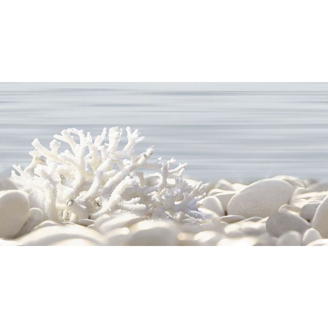 DWU09DLM624 декор Del Mare 249*500*7,5 (12 шт. в коробке)