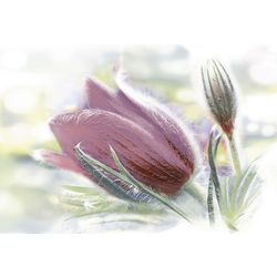 DWU07LIL025 декор Lila 249*364*6,5 (10 шт. в коробке)
