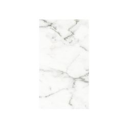LASSELSBERGER Настенная плитка Каррарский Мрамор 1045-0115 25х45 универсальный