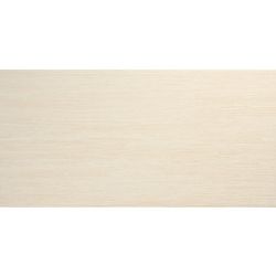 LASSELSBERGER Настенная плитка Эдем 1041-0055 20х40 белая