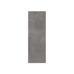 LASSELSBERGER Настенная плитка Фиори Гриджо 1064-0101 20х60 темно-серая