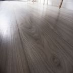 Дуб Дымчатый 001-1