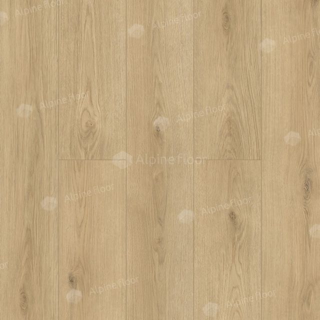 Caro 1002-9