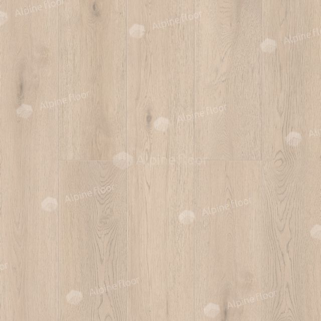 Alante 1001-5