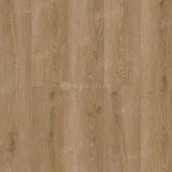Niky 1001-20